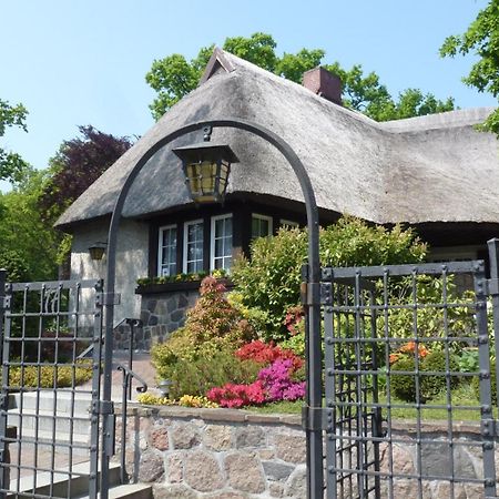 Landhaus Wilkens بابي المظهر الخارجي الصورة